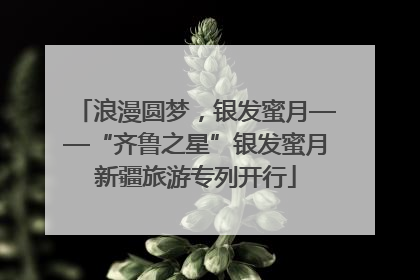 浪漫圆梦，银发蜜月——“齐鲁之星”银发蜜月新疆旅游专列开行