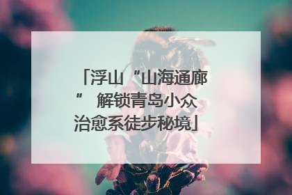 浮山“山海通廊” 解锁青岛小众治愈系徒步秘境