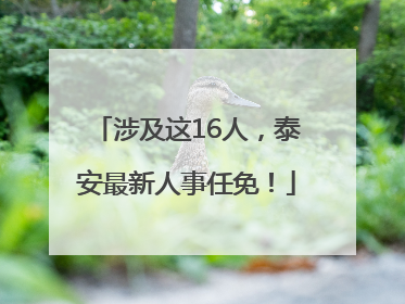涉及这16人，泰安最新人事任免！