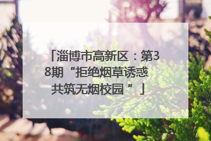 淄博市高新区：第38期“拒绝烟草诱惑 共筑无烟校园 ”