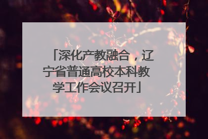 深化产教融合，辽宁省普通高校本科教学工作会议召开