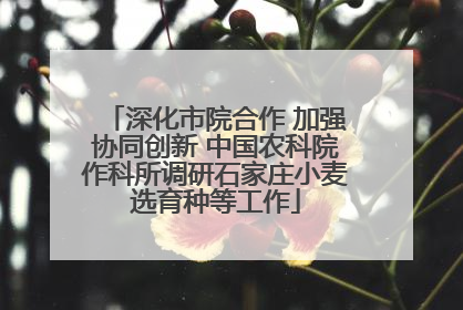 深化市院合作 加强协同创新 中国农科院作科所调研石家庄小麦选育种等工作