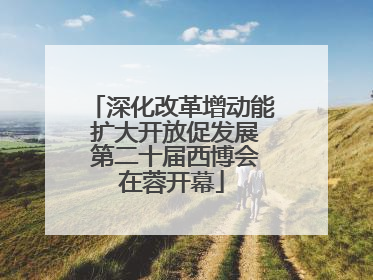 深化改革增动能 扩大开放促发展 第二十届西博会在蓉开幕