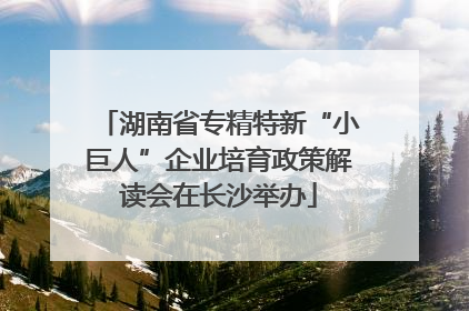 湖南省专精特新“小巨人”企业培育政策解读会在长沙举办