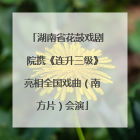 湖南省花鼓戏剧院携《连升三级》亮相全国戏曲（南方片）会演