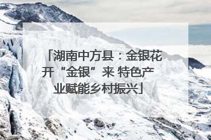 湖南中方县：金银花开“金银”来 特色产业赋能乡村振兴