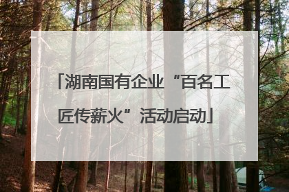 湖南国有企业“百名工匠传薪火”活动启动