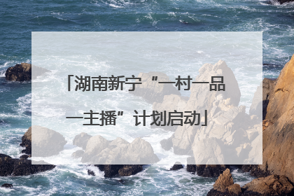 湖南新宁“一村一品一主播”计划启动