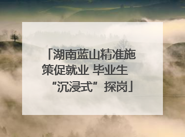 湖南蓝山精准施策促就业 毕业生“沉浸式”探岗