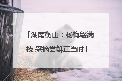 湖南衡山：杨梅缀满枝 采摘尝鲜正当时