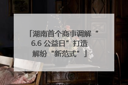 湖南首个商事调解“6.6 公益日”打造解纷“新范式”