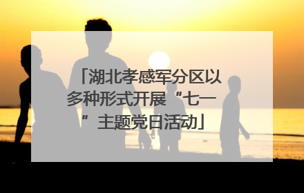 湖北孝感军分区以多种形式开展“七一”主题党日活动