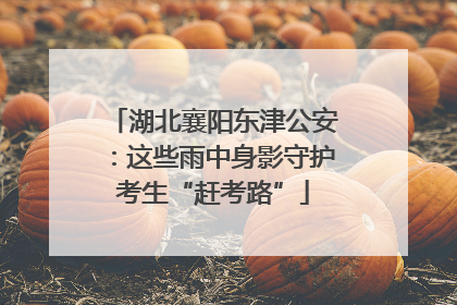 湖北襄阳东津公安：这些雨中身影守护考生“赶考路”