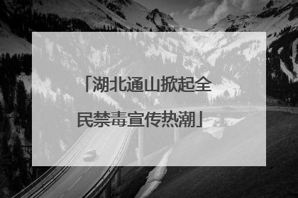 湖北通山掀起全民禁毒宣传热潮