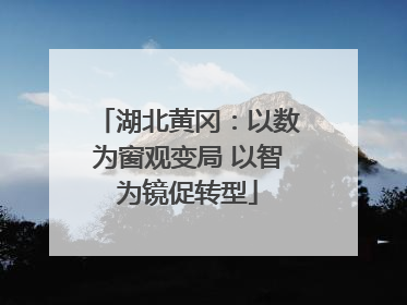 湖北黄冈：以数为窗观变局 以智为镜促转型