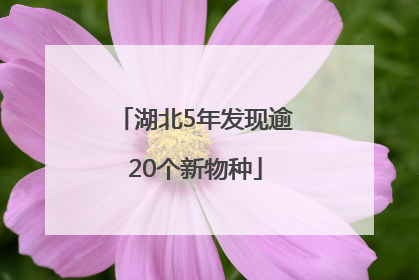 湖北5年发现逾20个新物种