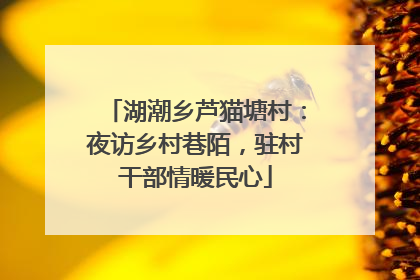 湖潮乡芦猫塘村：夜访乡村巷陌，驻村干部情暖民心