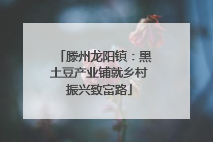 滕州龙阳镇：黑土豆产业铺就乡村振兴致富路