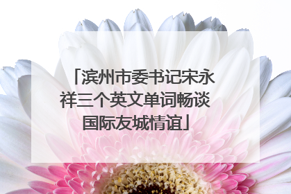 滨州市委书记宋永祥三个英文单词畅谈国际友城情谊
