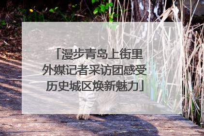 漫步青岛上街里 外媒记者采访团感受历史城区焕新魅力