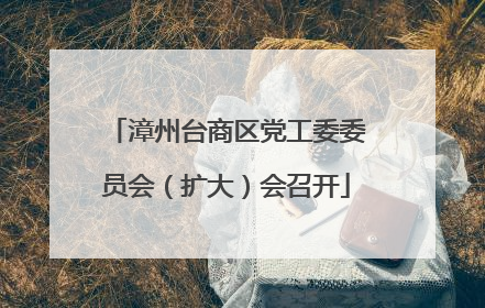 漳州台商区党工委委员会（扩大）会召开