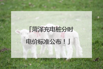 菏泽充电桩分时电价标准公布！
