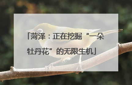 菏泽：正在挖掘“一朵牡丹花”的无限生机