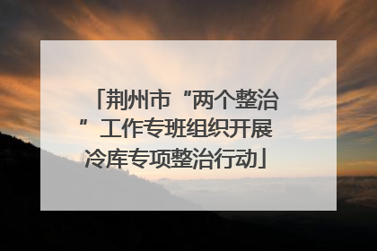 荆州市“两个整治”工作专班组织开展冷库专项整治行动