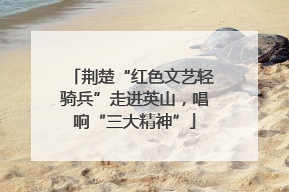 荆楚“红色文艺轻骑兵”走进英山，唱响“三大精神”