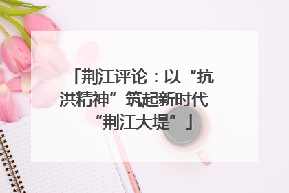 荆江评论：以“抗洪精神”筑起新时代“荆江大堤”