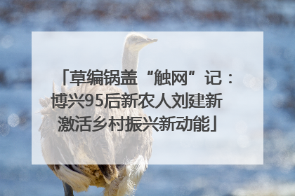 草编锅盖“触网”记：博兴95后新农人刘建新激活乡村振兴新动能
