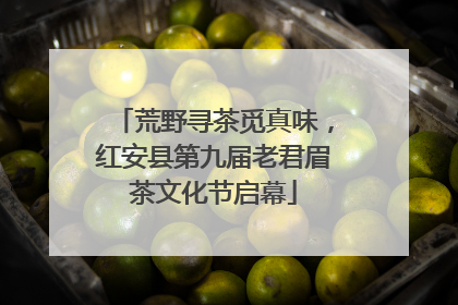 荒野寻茶觅真味，红安县第九届老君眉茶文化节启幕