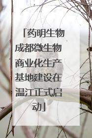 药明生物成都微生物商业化生产基地建设在温江正式启动