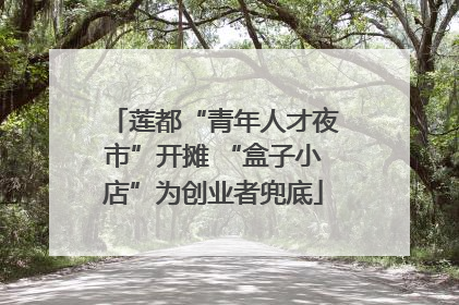莲都“青年人才夜市”开摊 “盒子小店”为创业者兜底