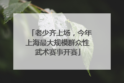老少齐上场，今年上海最大规模群众性武术赛事开赛