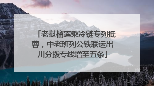 老挝榴莲乘冷链专列抵蓉，中老班列公铁联运出川分拨专线增至五条