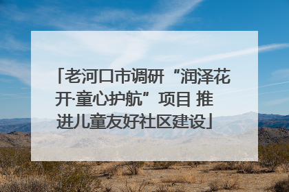 老河口市调研“润泽花开·童心护航”项目 推进儿童友好社区建设