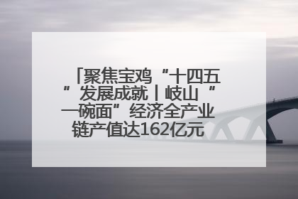 聚焦宝鸡“十四五”发展成就丨岐山“一碗面”经济全产业链产值达162亿元 入选全国典型县