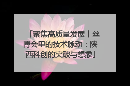 聚焦高质量发展丨丝博会里的技术脉动：陕西科创的突破与想象