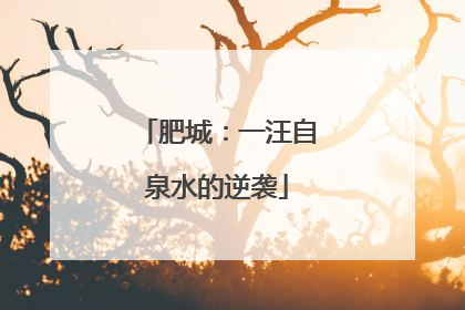 肥城：一汪自泉水的逆袭