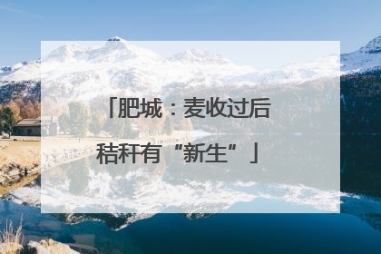 肥城：麦收过后秸秆有“新生”