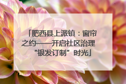 肥西县上派镇：窗帘之约——开启社区治理“银发订制”时光