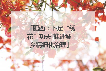 肥西：下足“绣花”功夫 推进城乡精细化治理