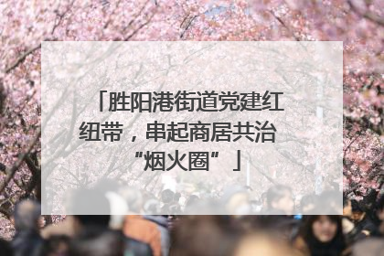 胜阳港街道党建红纽带，串起商居共治 “烟火圈”