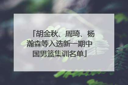 胡金秋、周琦、杨瀚森等入选新一期中国男篮集训名单