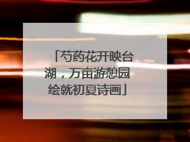 芍药花开映台湖，万亩游憩园绘就初夏诗画