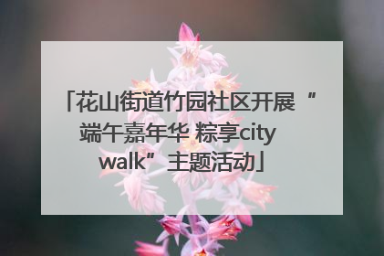 花山街道竹园社区开展“端午嘉年华 粽享city walk”主题活动