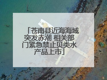 苍南县近海海域突发赤潮 相关部门紧急禁止贝类水产品上市