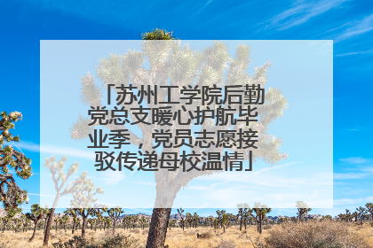 苏州工学院后勤党总支暖心护航毕业季，党员志愿接驳传递母校温情
