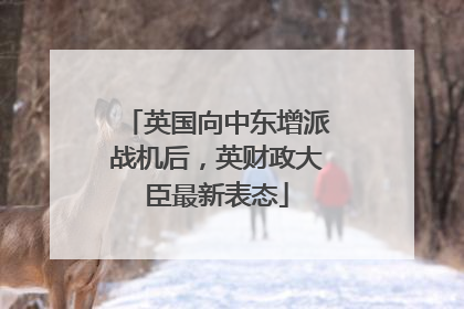英国向中东增派战机后，英财政大臣最新表态